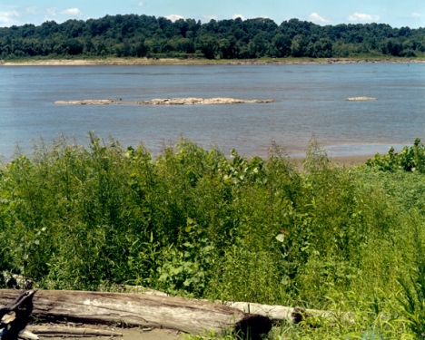 Rock Formation in the Middle Mississippi at Thebes Gap, 2006